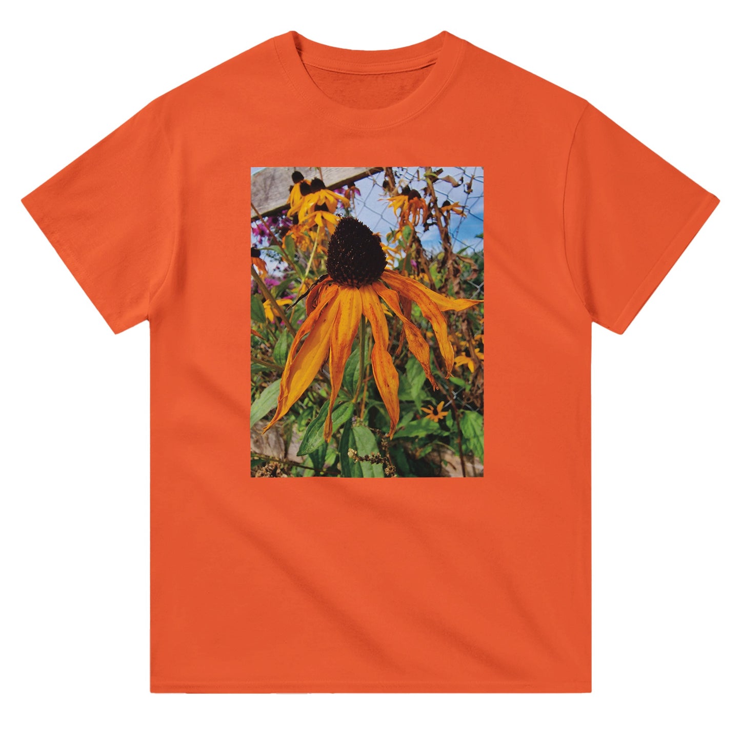 5cc90463-6e6a-418e-a3f7-0586a92c1c62