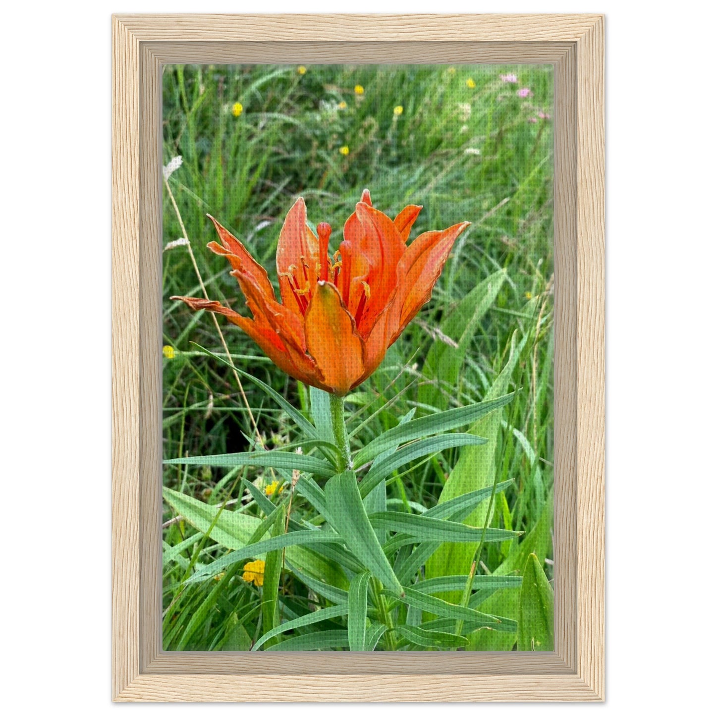 5ccbaba5-0053-4f76-87c4-85340131bd56