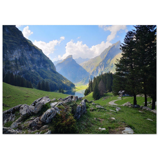 5f396d50-7457-4757-93e2-56139d71b608