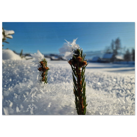 5ffd6ecd-00ad-4f70-858f-a9607f21d72f