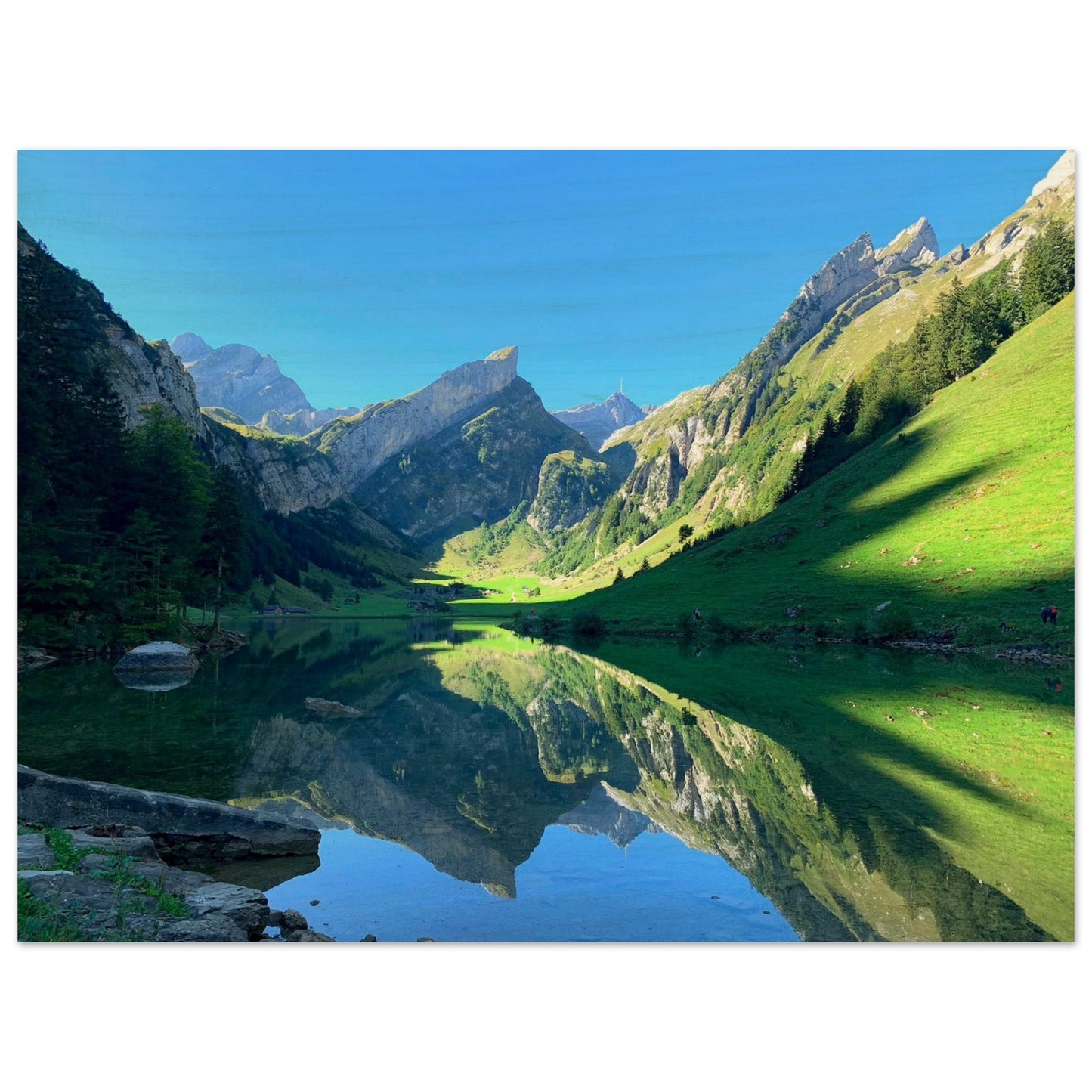 60268f57-e3aa-46bc-96ac-eab3ea7733aa