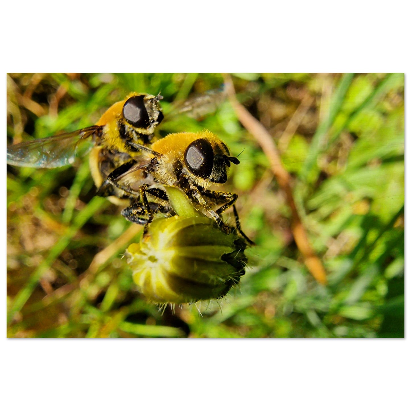 61254655-f373-4b65-8b53-d7e7d80e9ef5