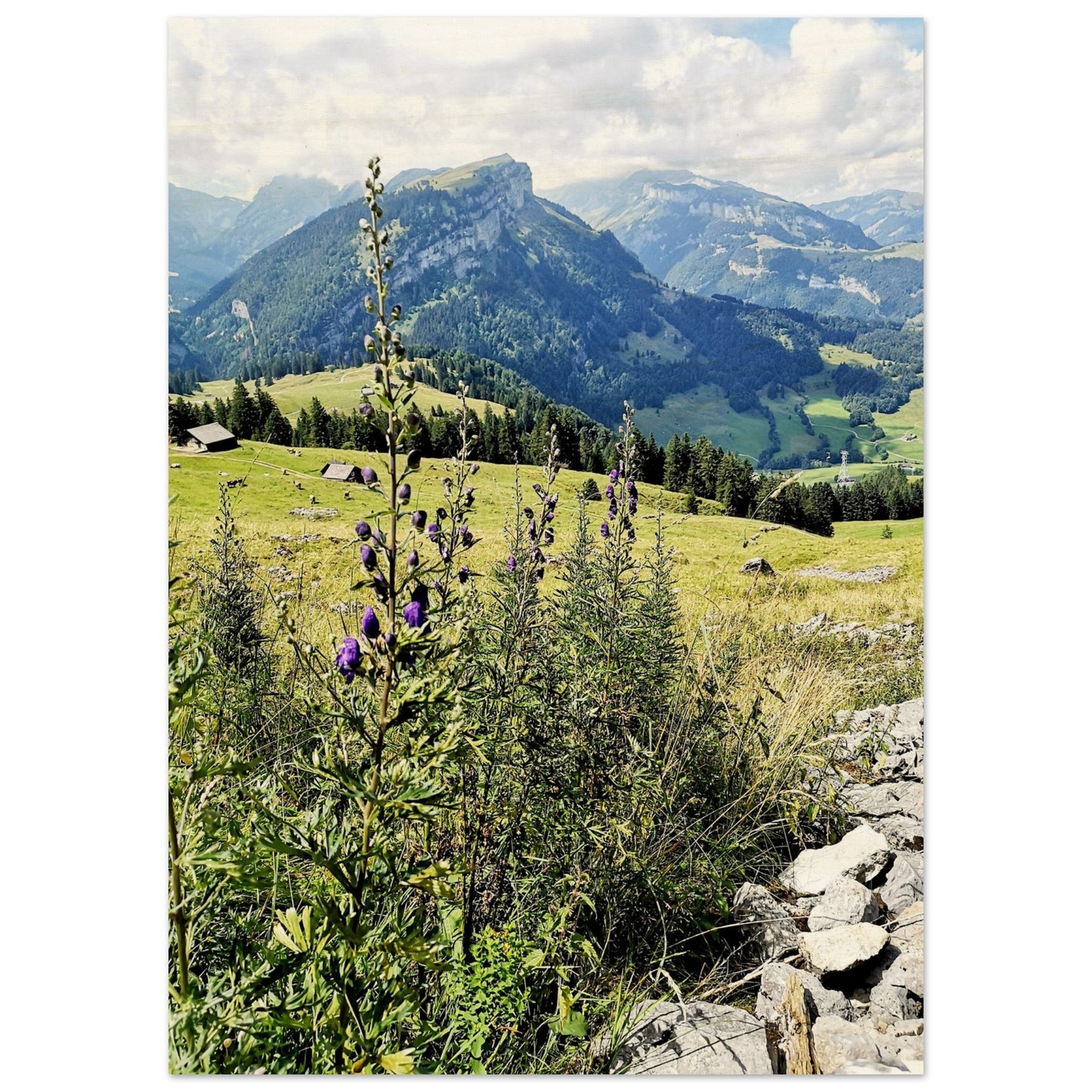 61938b58-d673-4274-934c-86718c239864