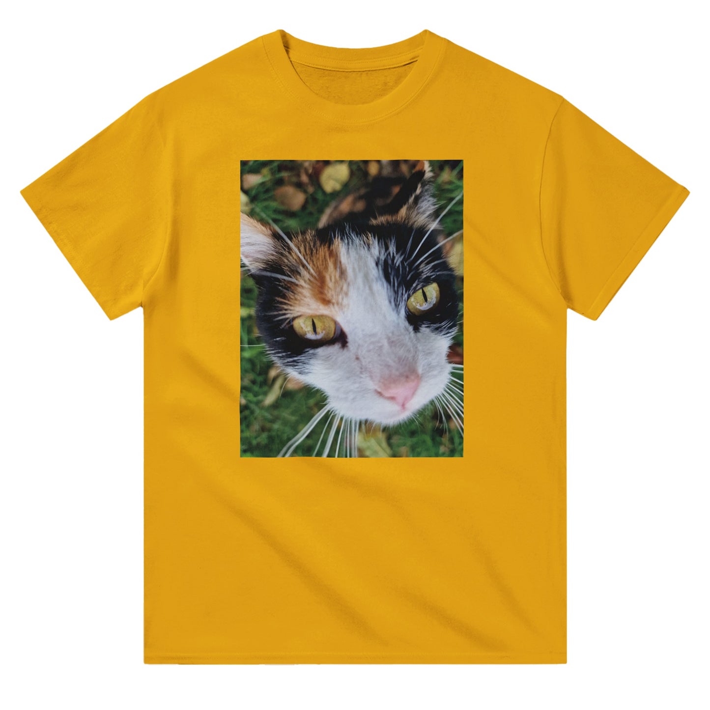 61c471a4-83d0-4158-b2bd-2c70ba2ceb69