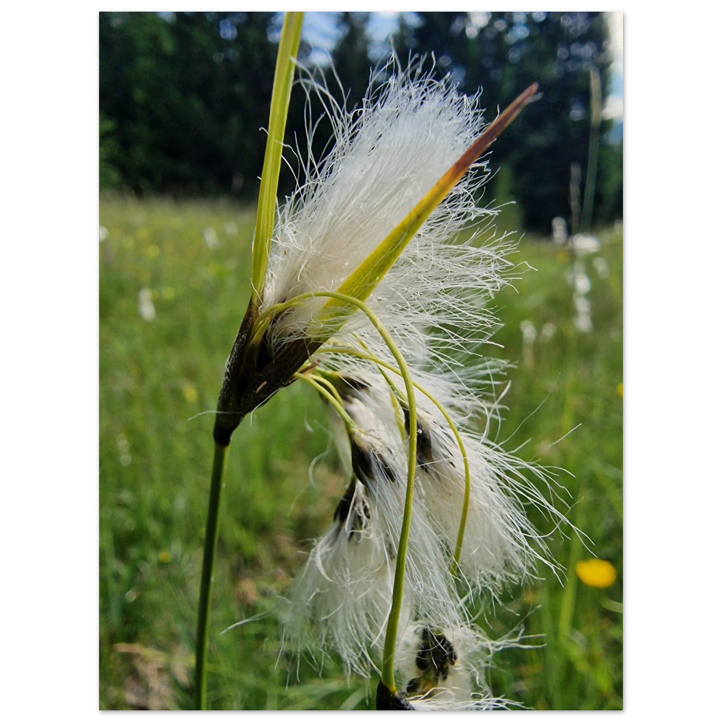 61ca5723-3f4e-4dbf-9309-1f28a4f14cb4