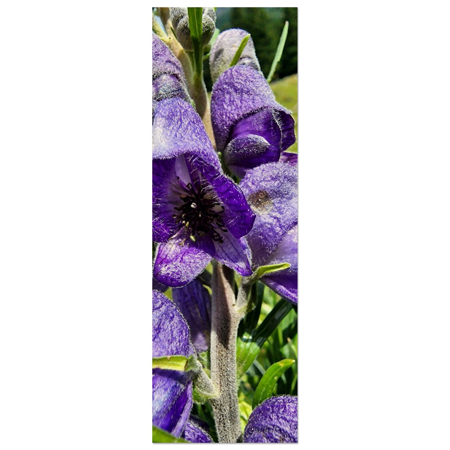 6377406c-2988-48ca-a5b8-12447a4e81b9