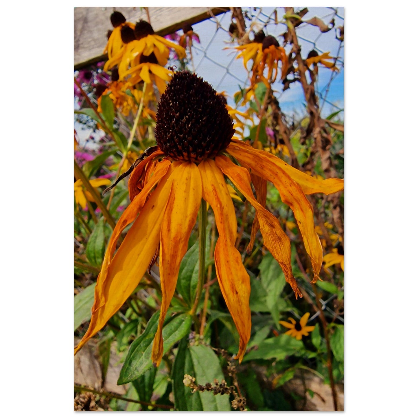 63d130e5-af51-4067-812e-6b4d3d5465bb