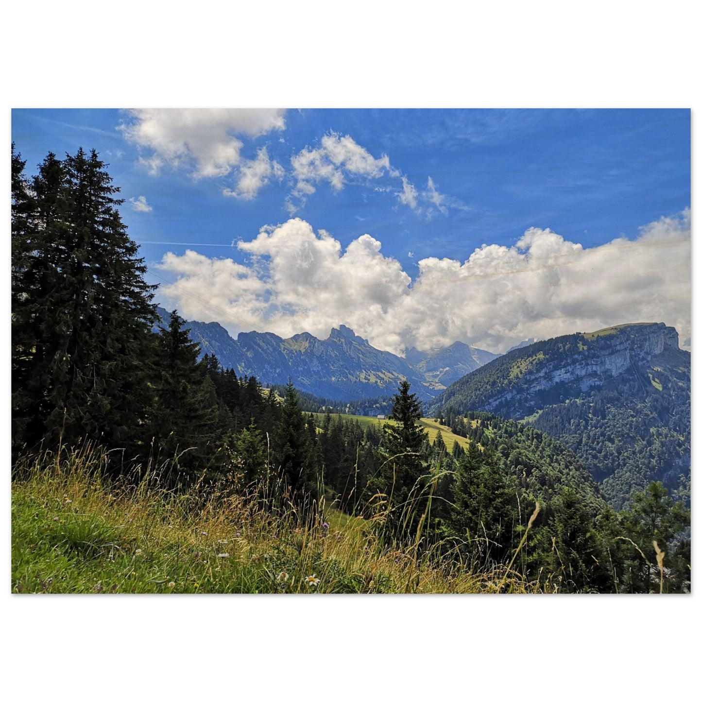 66edff0a-3bd8-424e-ad3f-59abfe921d70