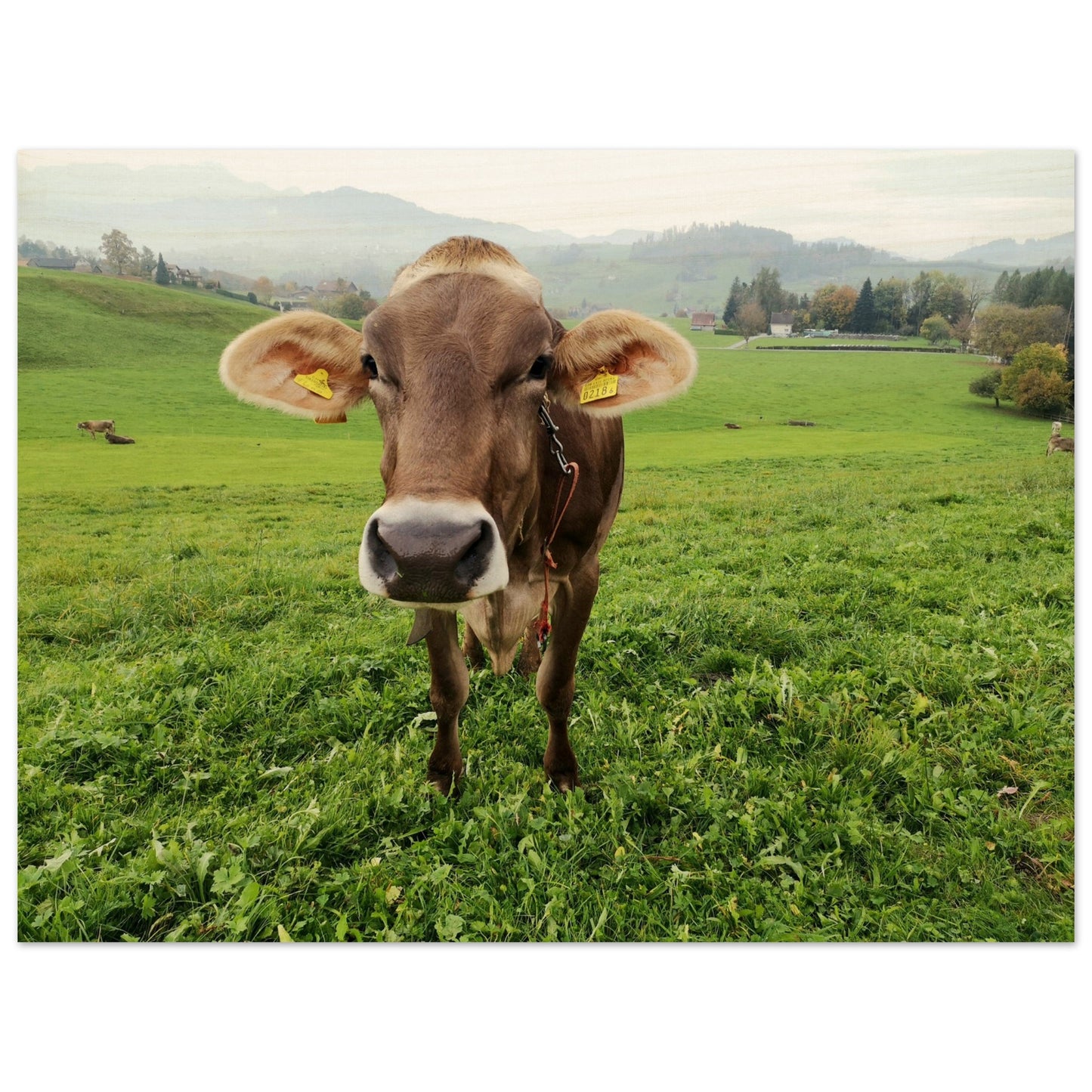 68491872-6ecf-4d9b-a11f-1758f94d7022