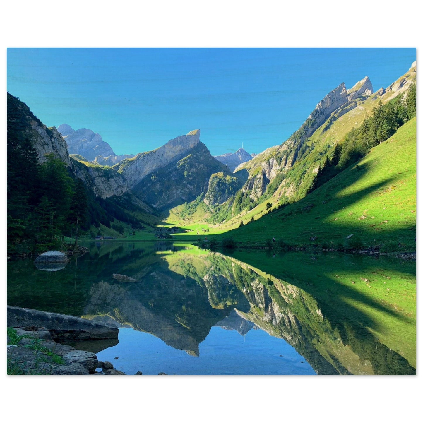 68610ae9-0506-4af4-9f5c-bfa16a3c2dad