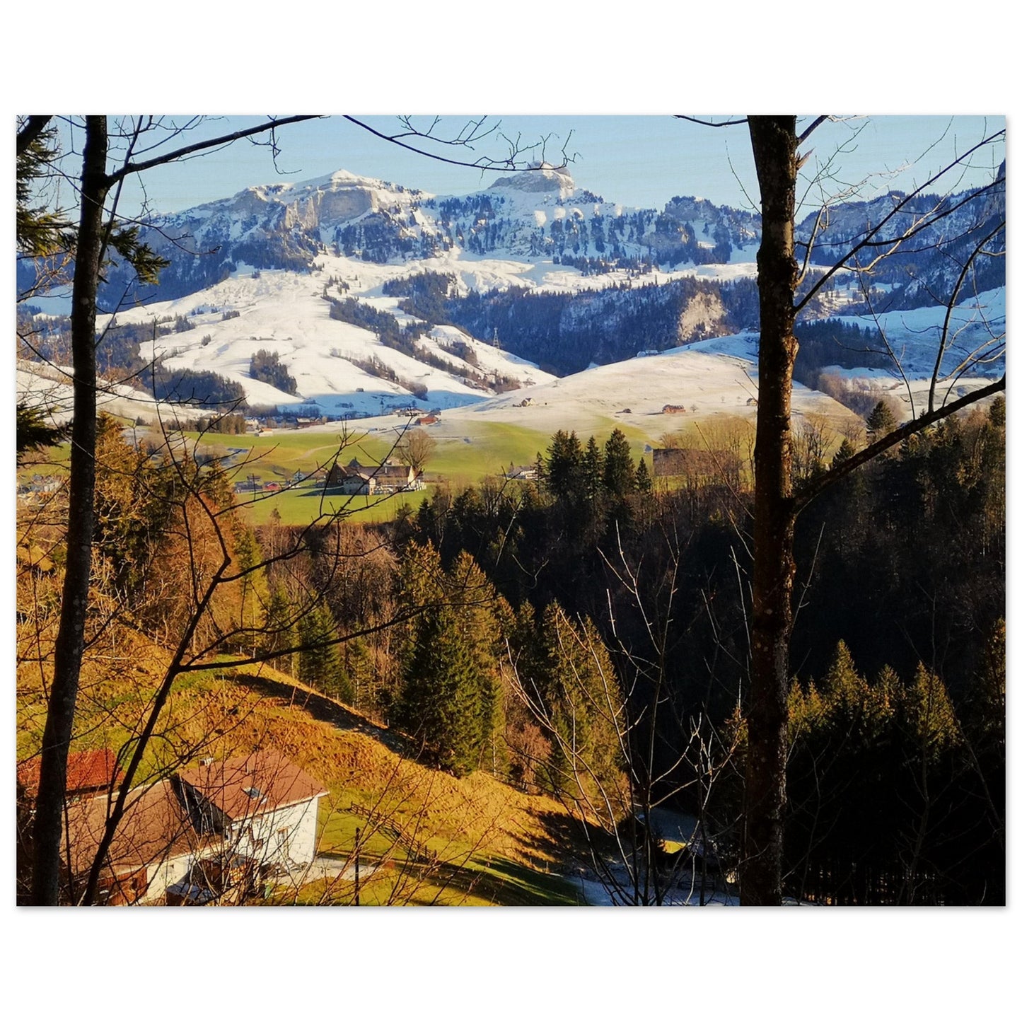 68e806f4-43c4-49c8-9a7d-e641ead2eb36