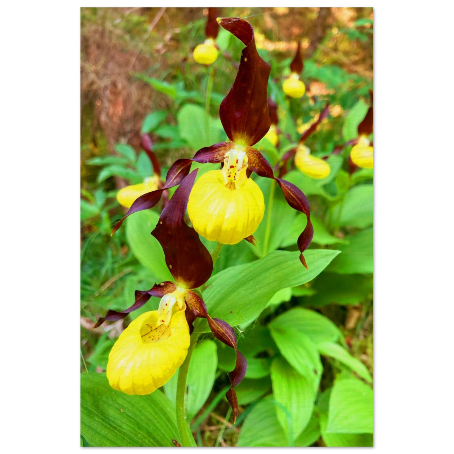 6a3cf9a6-583d-4d16-bc0c-13576693ca36