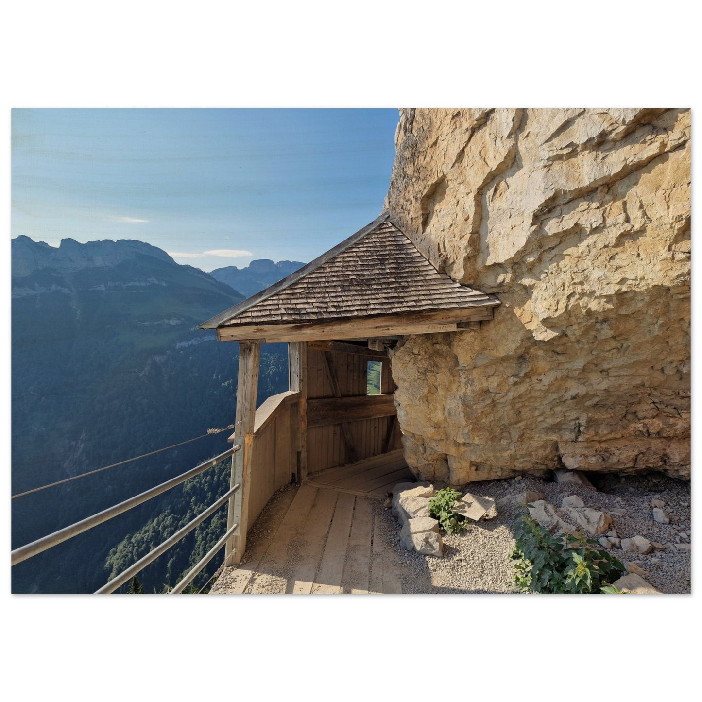 6afbf42f-b507-4b81-8ce4-e17a802b8ff7