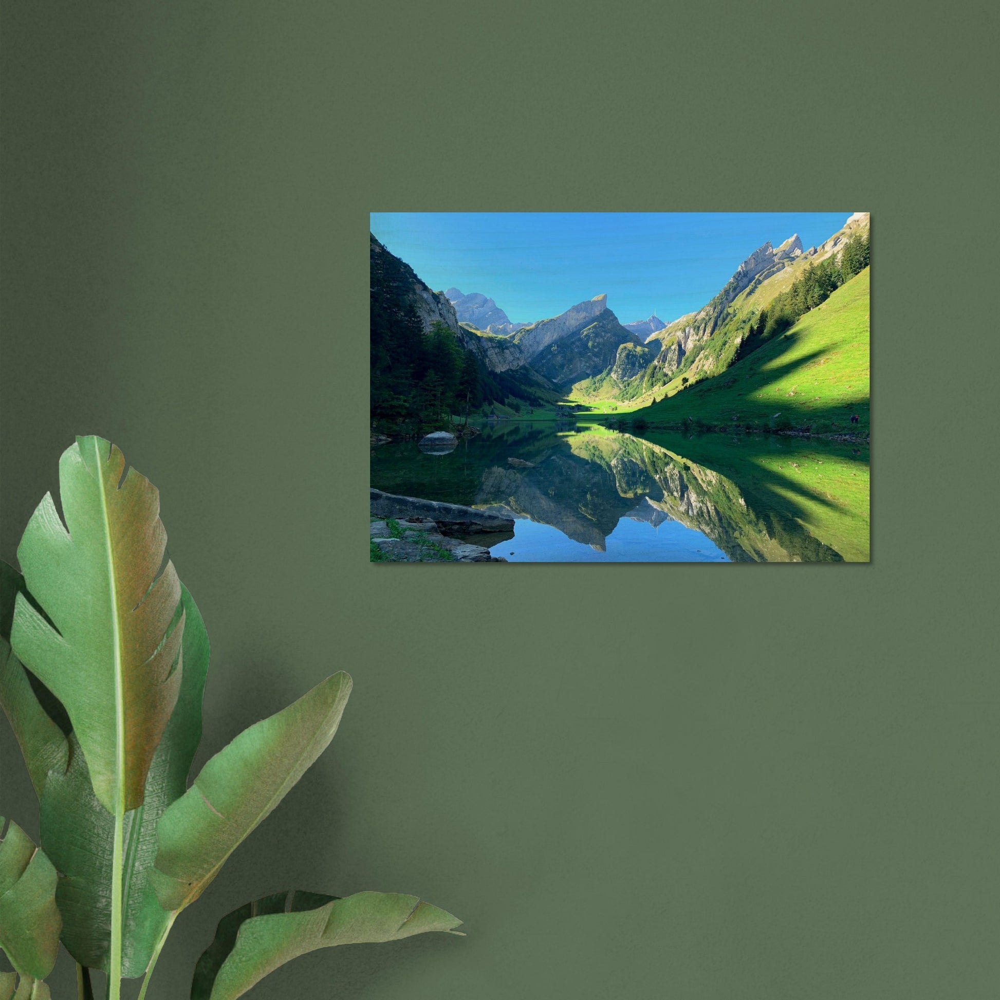 6caa354e-5397-4304-8faf-32dd4daec44c