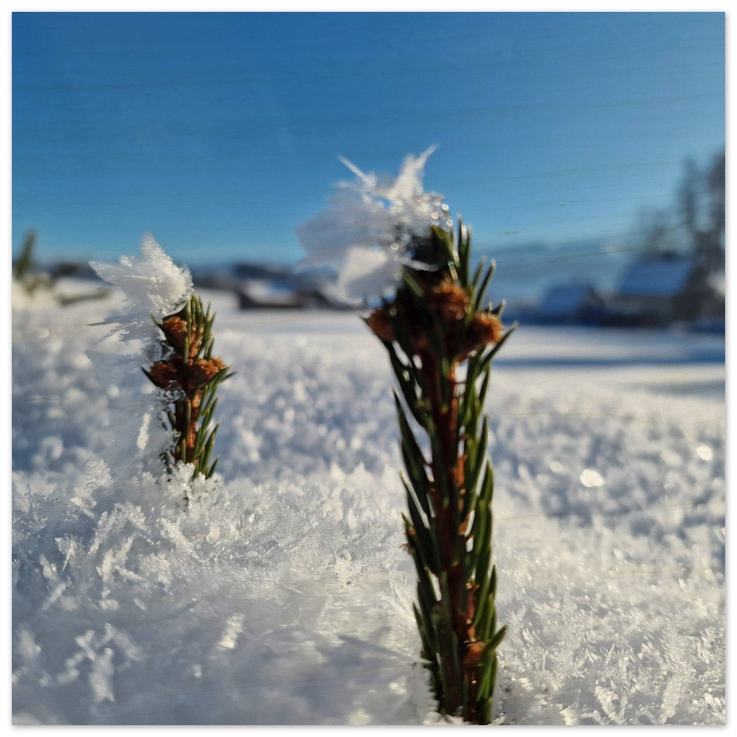 6d40a090-1c2f-4766-b32c-9ef189726e66