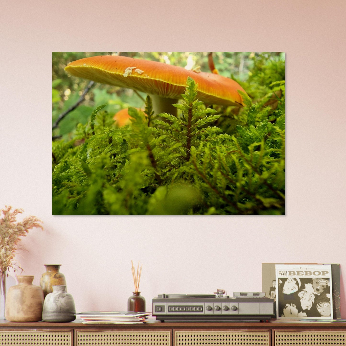 6d4b08db-9c32-47f3-b91c-0dc74252a11e