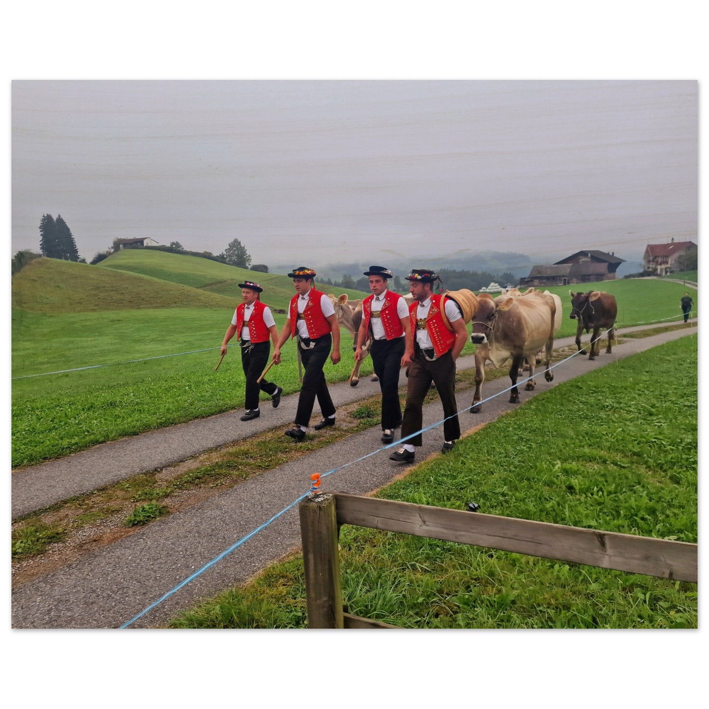 6e2735b6-3824-4da4-8fd8-401f3417a178