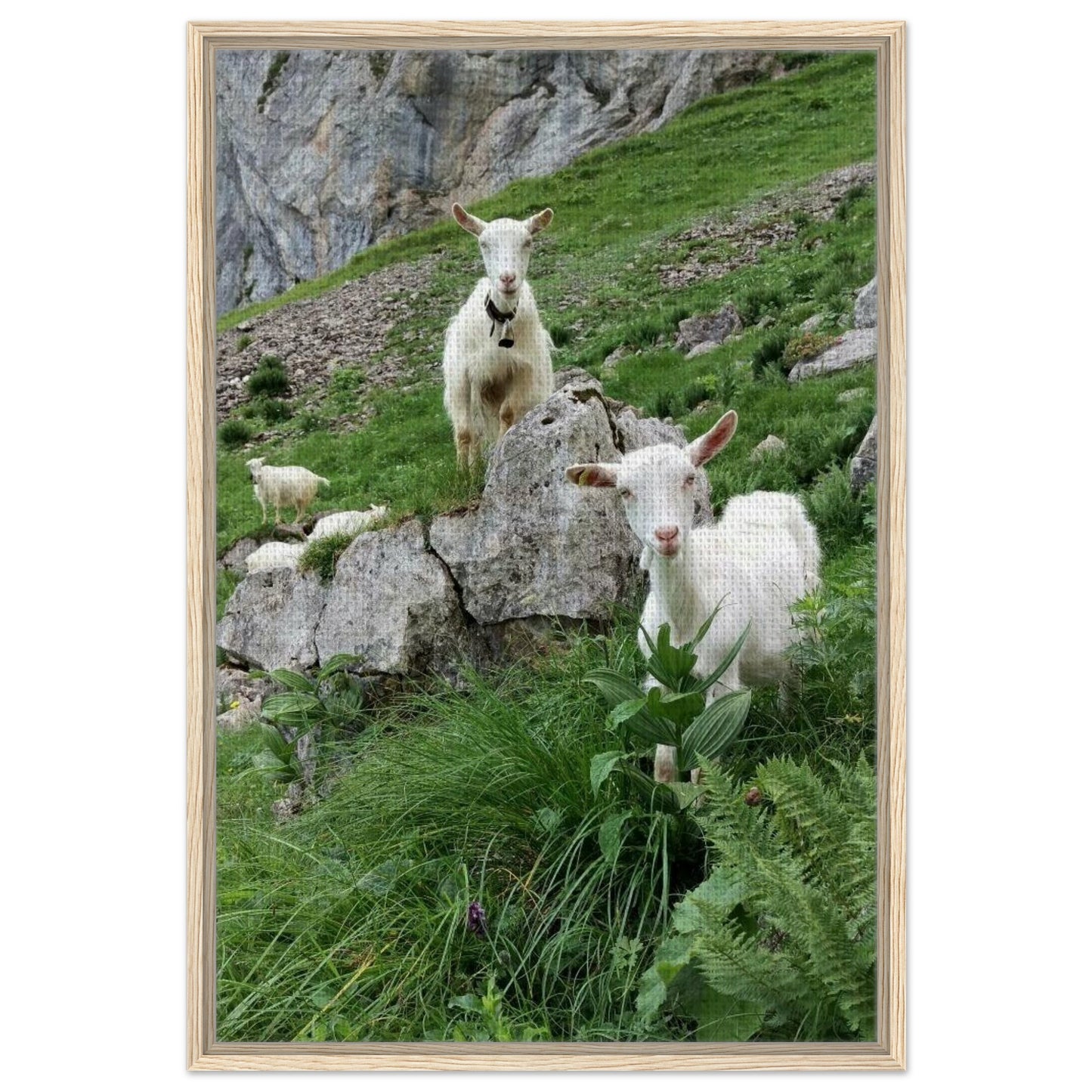 6fce0dfb-6744-4d4d-b93a-1c74474c48a6