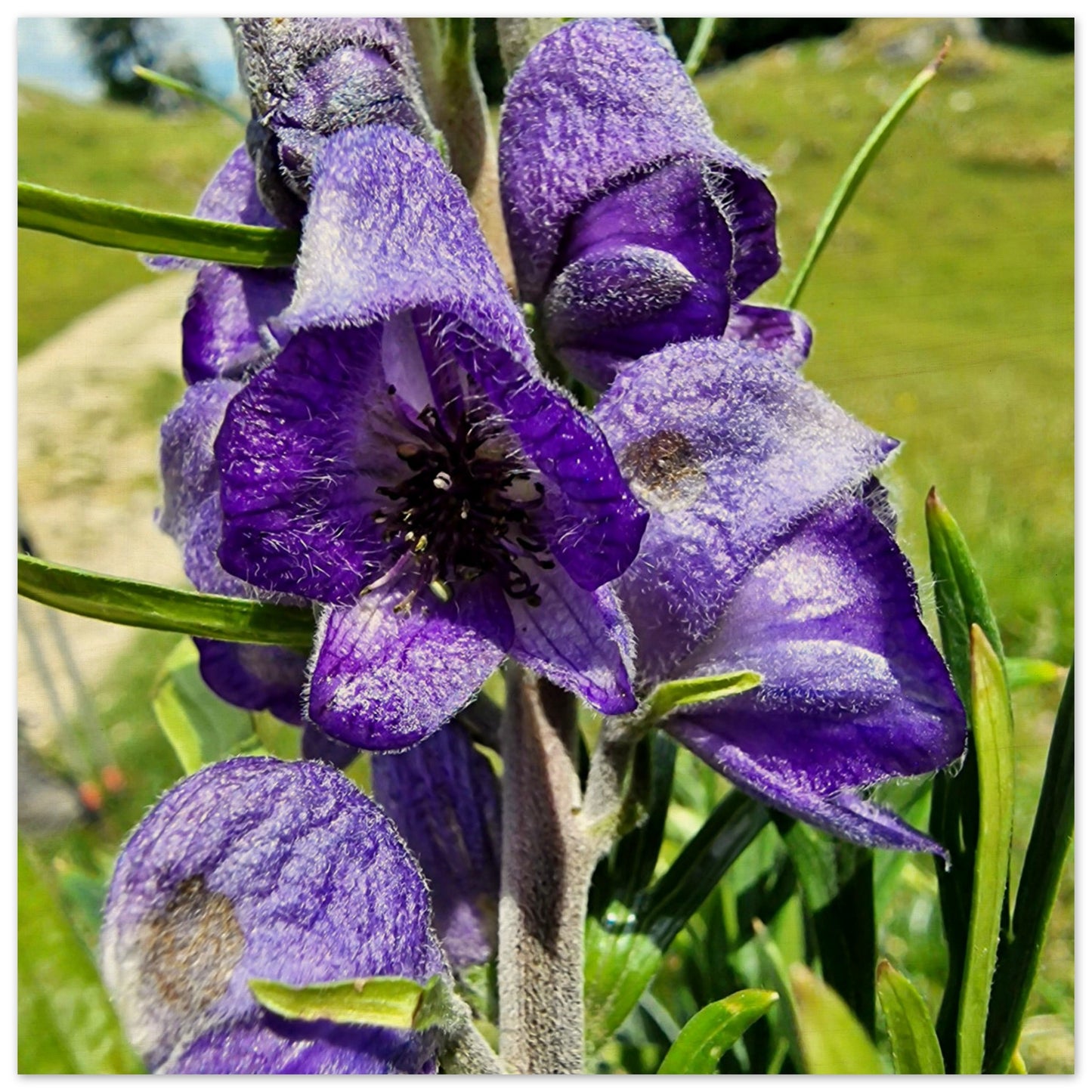 6ff9fae2-e1b3-4c78-be67-896bc32741df