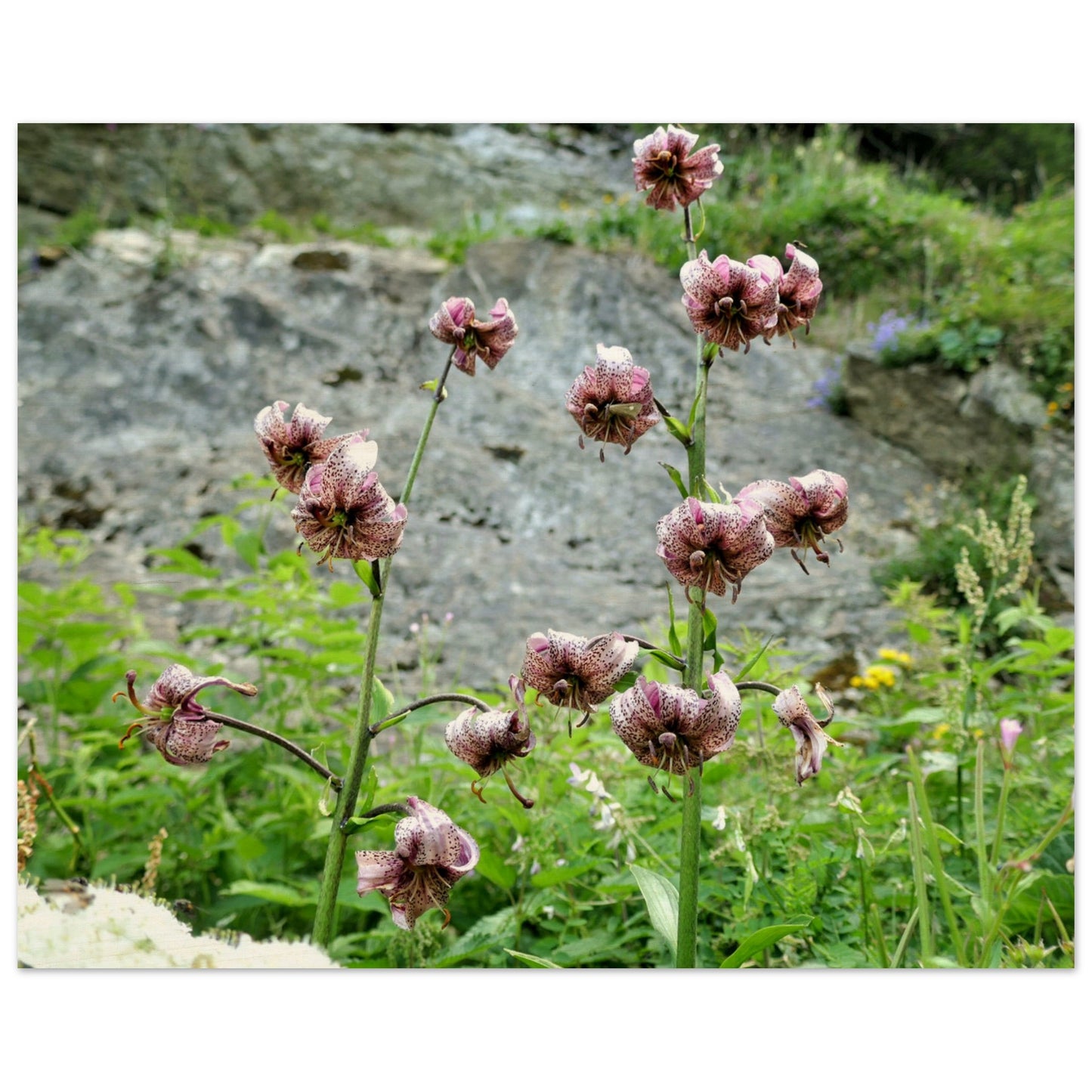 7046d4e4-c7a8-4892-ba53-1929070a3141