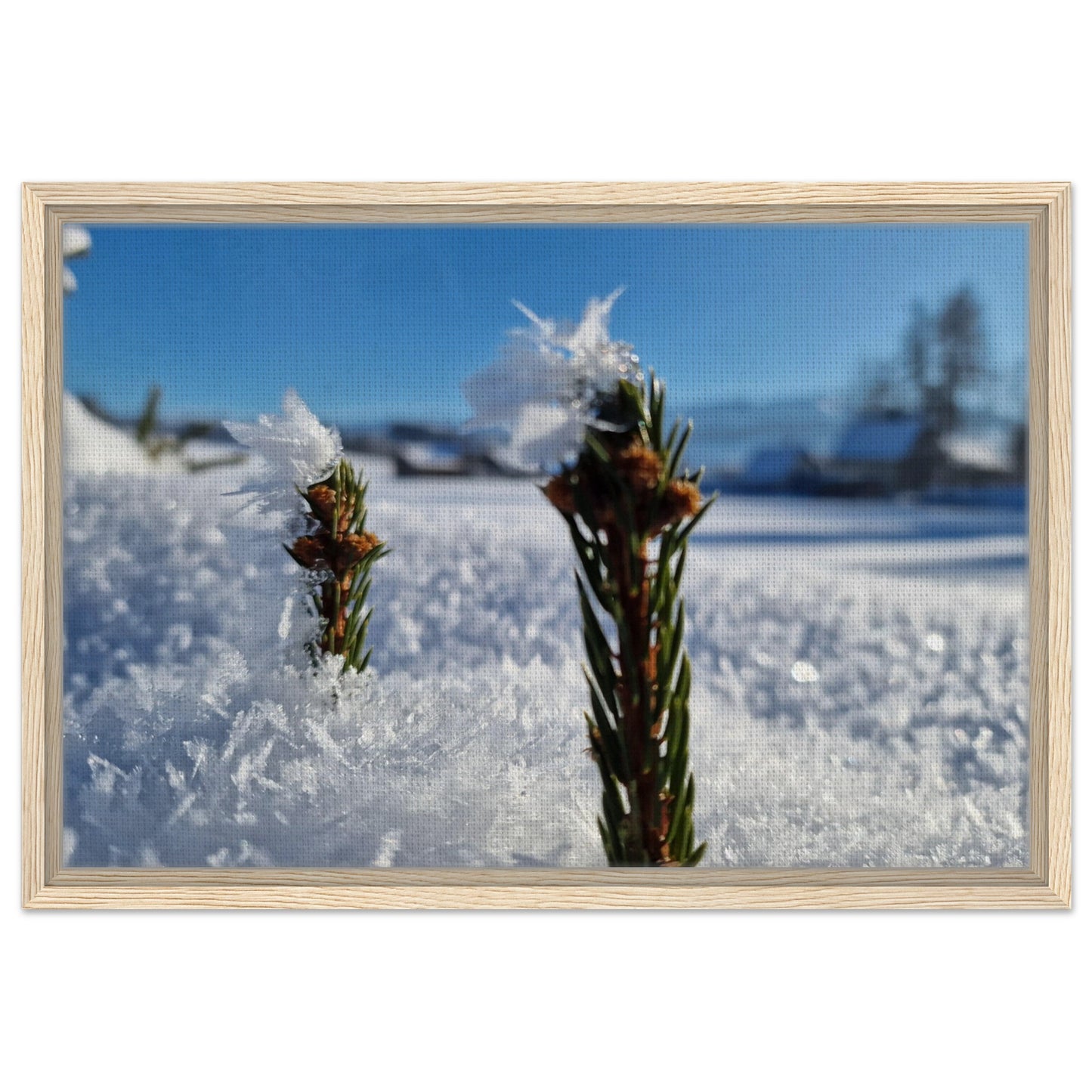 72fafb07-7b50-46f4-abd6-060a24d089c5