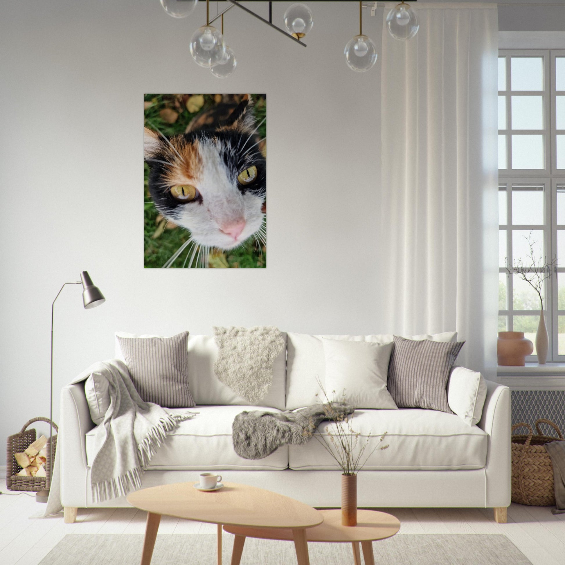 74724336-b657-4c56-b36d-06795308c25d