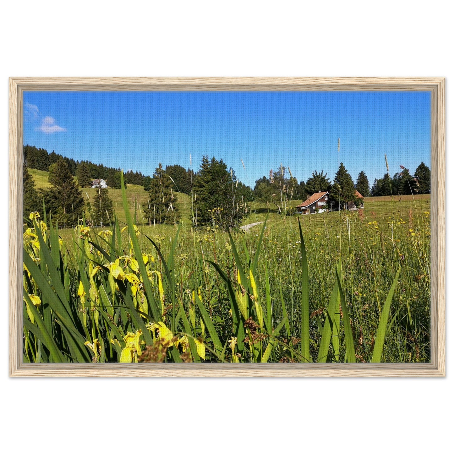 74e90dab-52e4-4870-837d-3fbfd457cd10