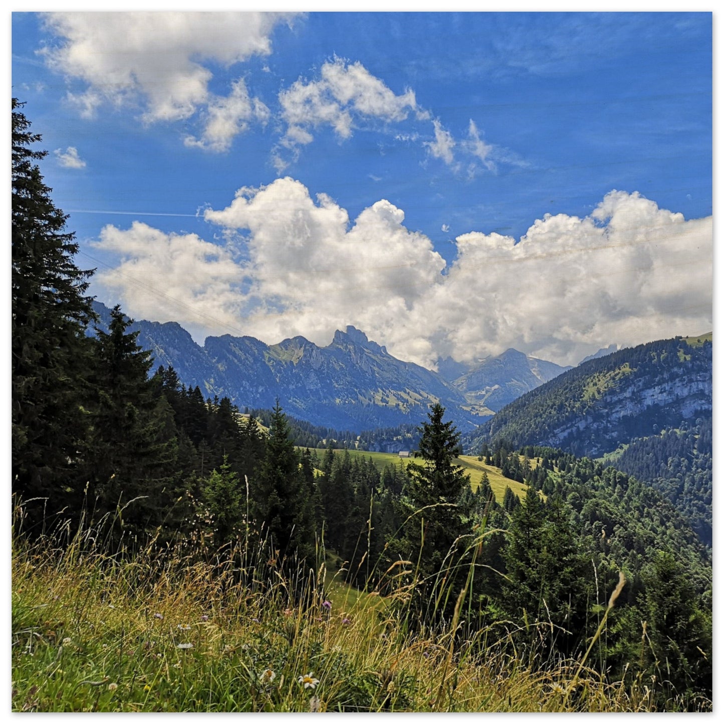 75c30656-166b-4590-bd90-15615642e975