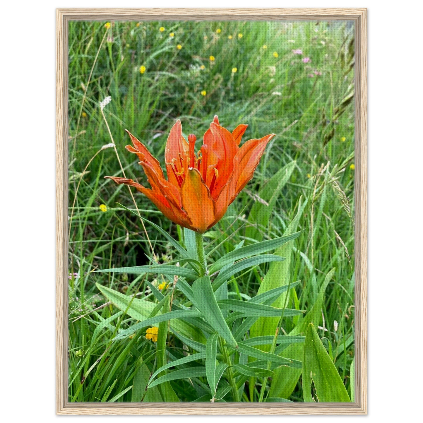 7a315258-2a7b-448e-b644-559556ea2e4a