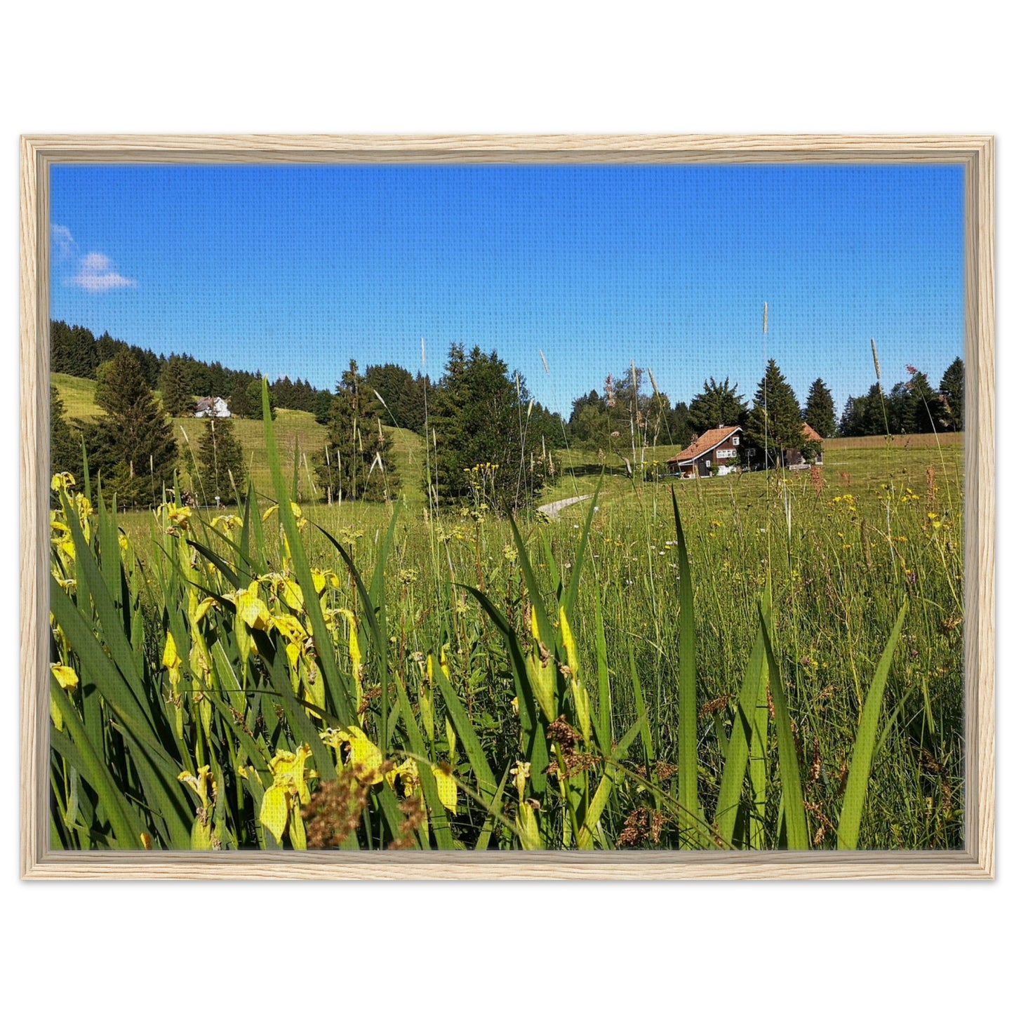 7de0cd77-c617-4393-9f4b-f9376643a758