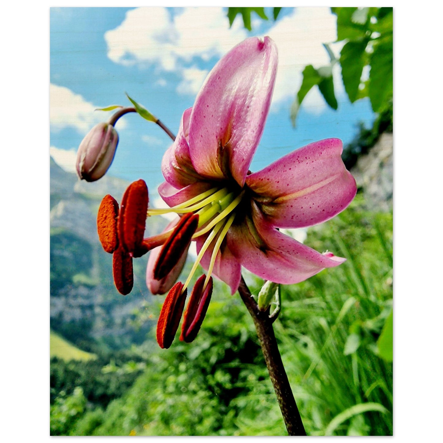 7f0b0e64-9005-4b65-a284-8b4f3d49dc41