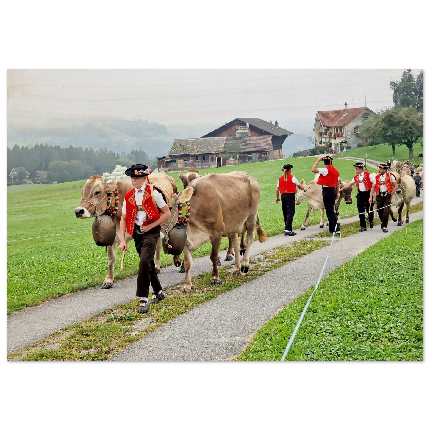 807d0c91-4b19-4e83-a0eb-cd915381a023