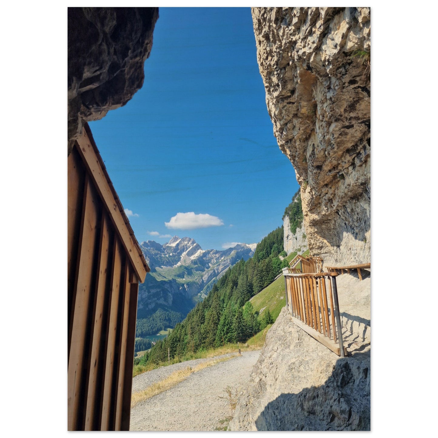 80e5c47c-c347-4f52-b351-ddc092242e44