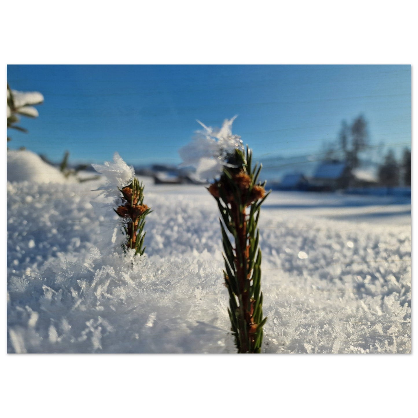 819ecd11-a8f2-469a-8a31-2c691ddf8419