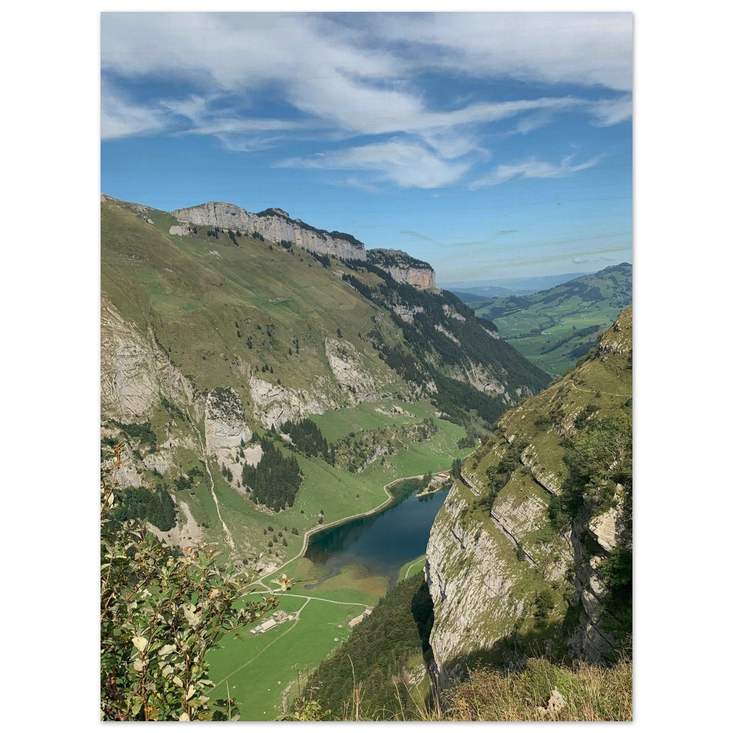 81d0cc57-64e7-4e97-b9b7-6a8009adb04b