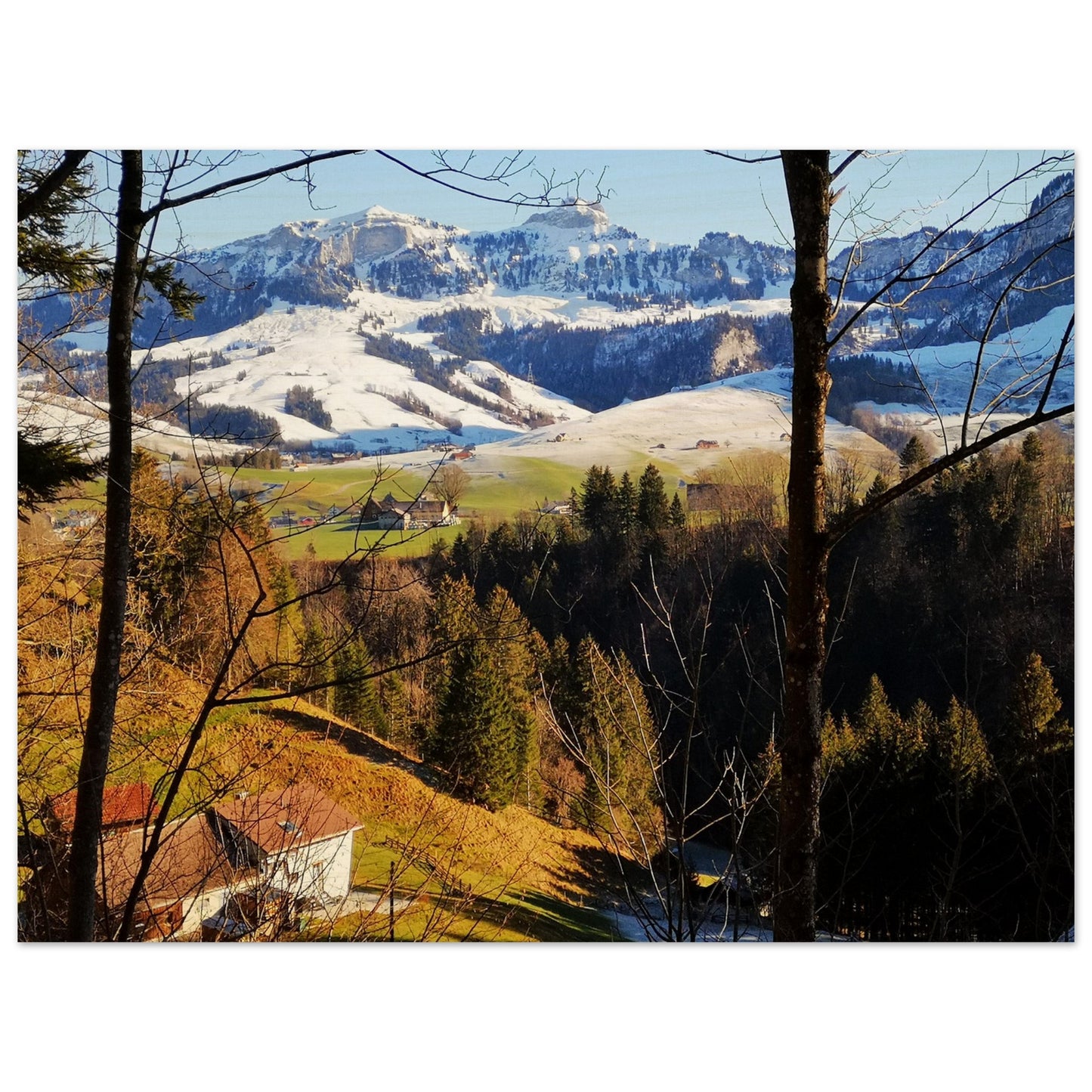 837452ba-a807-4840-881f-eaf4baf1598e