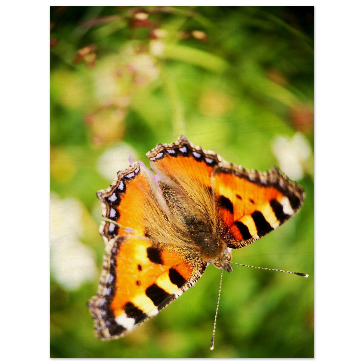 84ee875c-4910-4a58-b562-41f52321349a