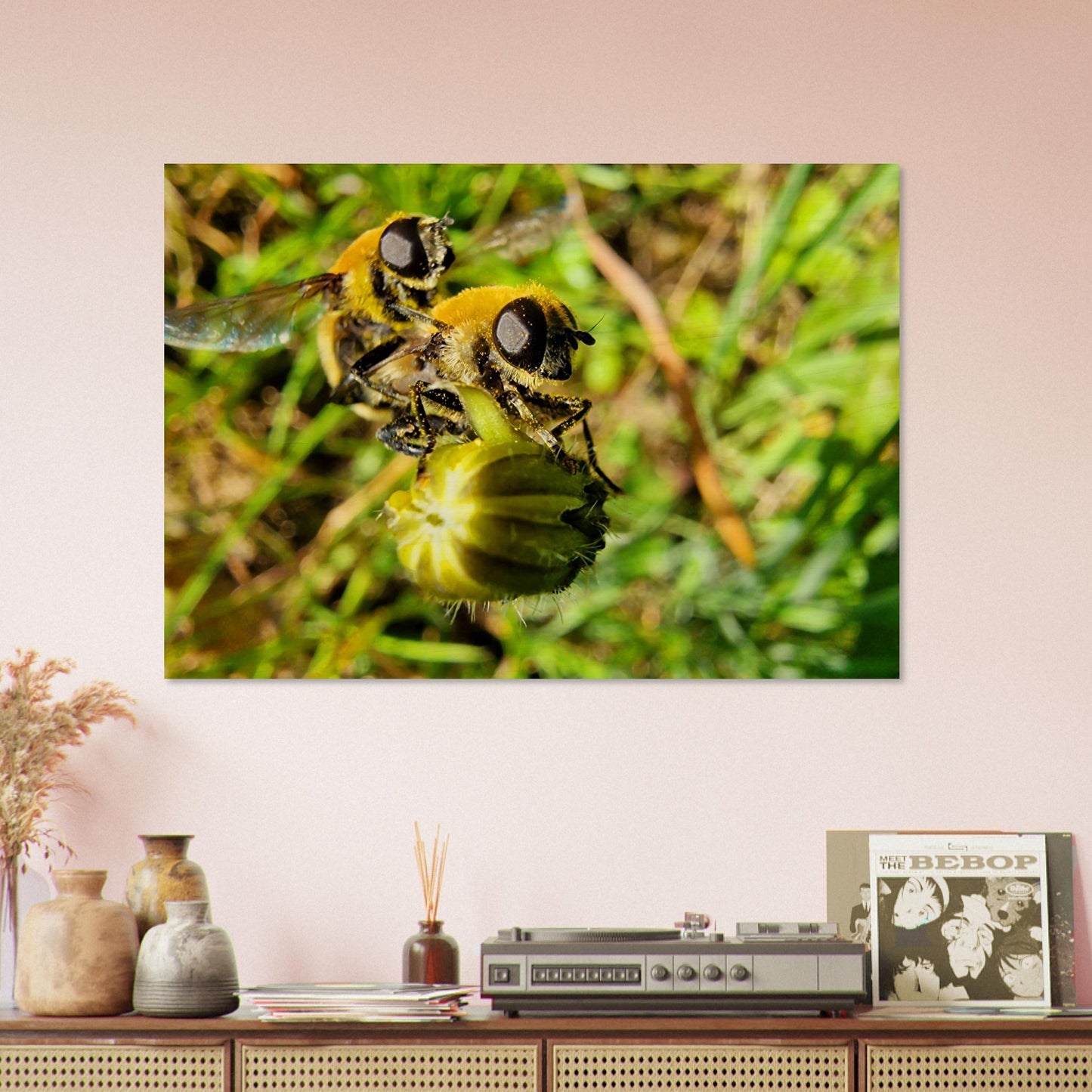 85012291-fe65-4333-bb76-f2cc2bcab645