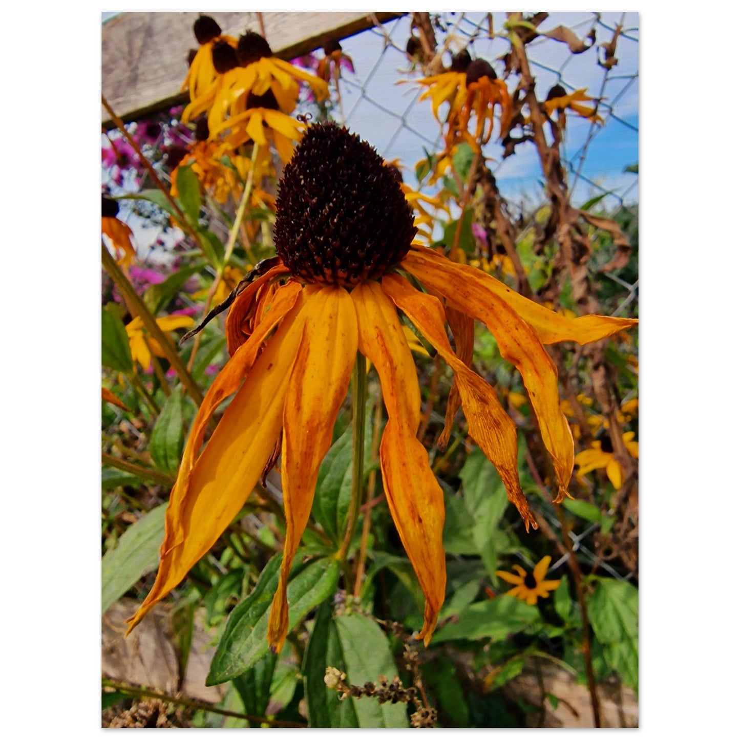 850a799c-c129-4b9f-8df4-cd769cb99eca