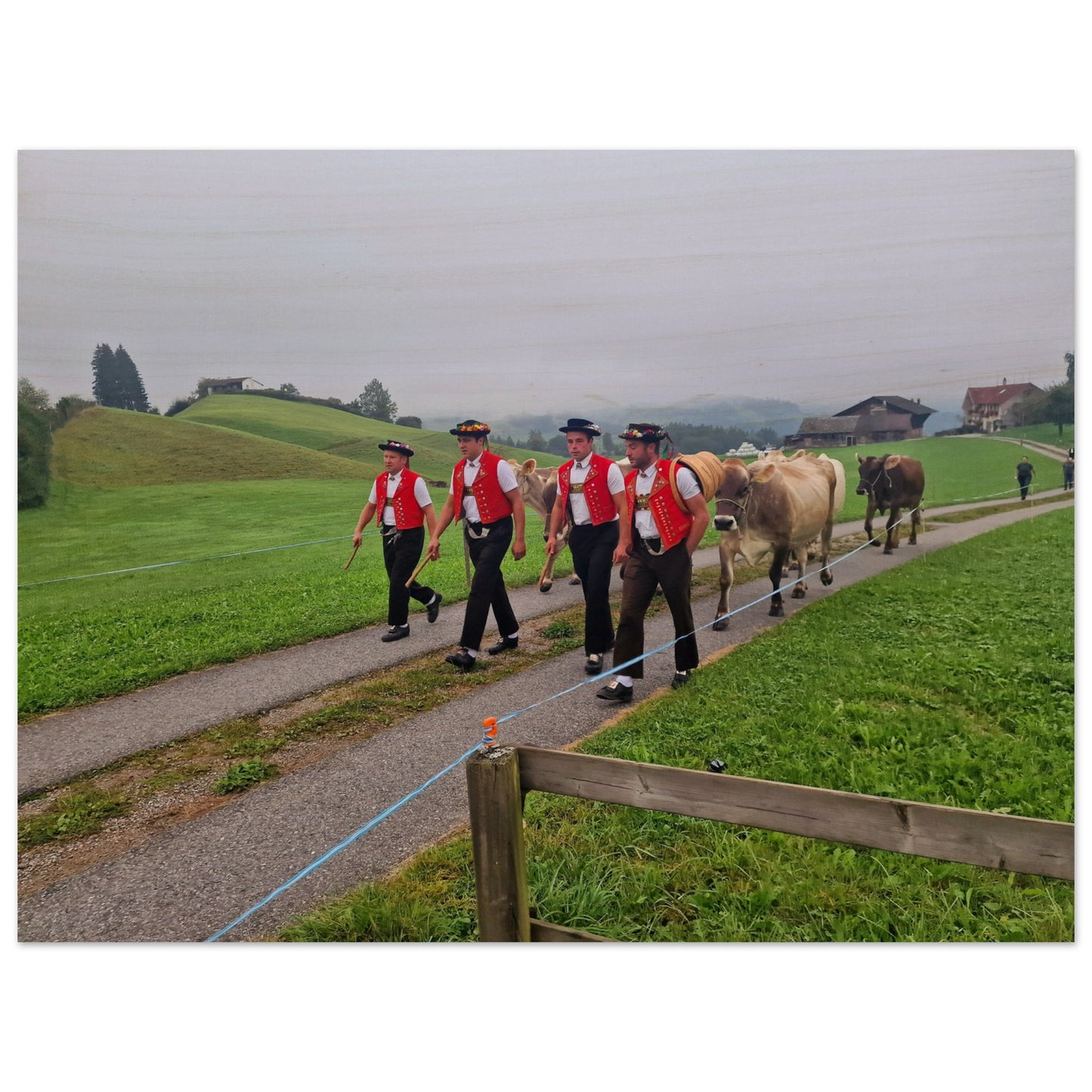 85a3ffa6-1947-4da7-a179-4de686aa87bf