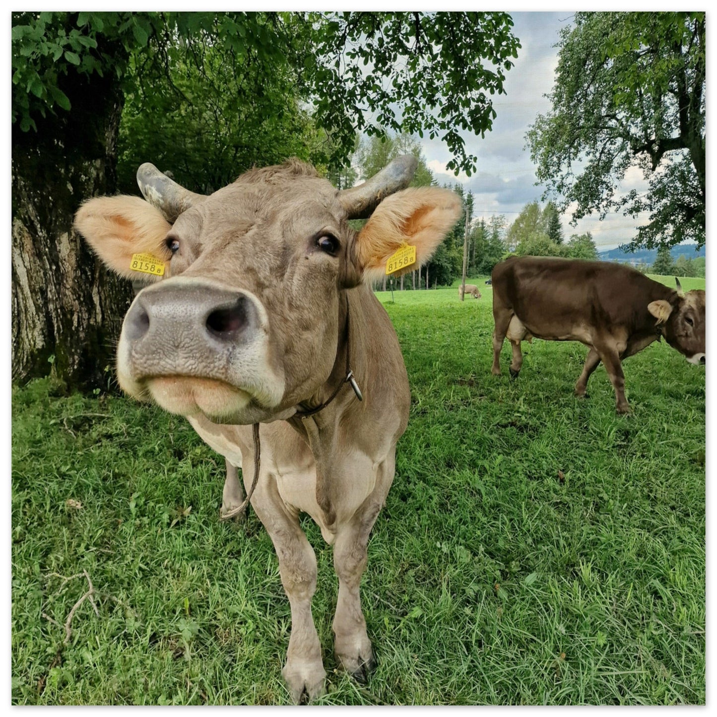 864dd707-7a50-4a9d-9394-9d830b99835a