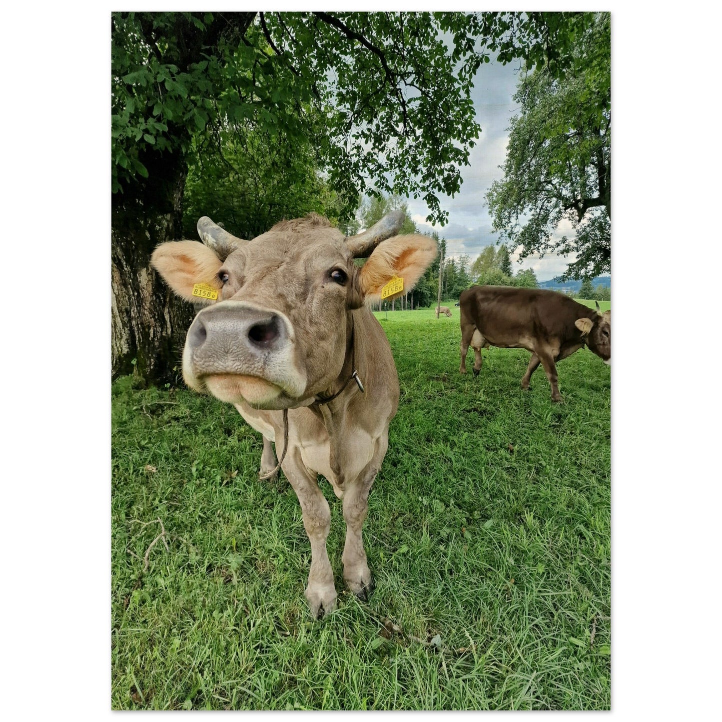 8733652f-f36d-458d-940a-6f9a4c35497b