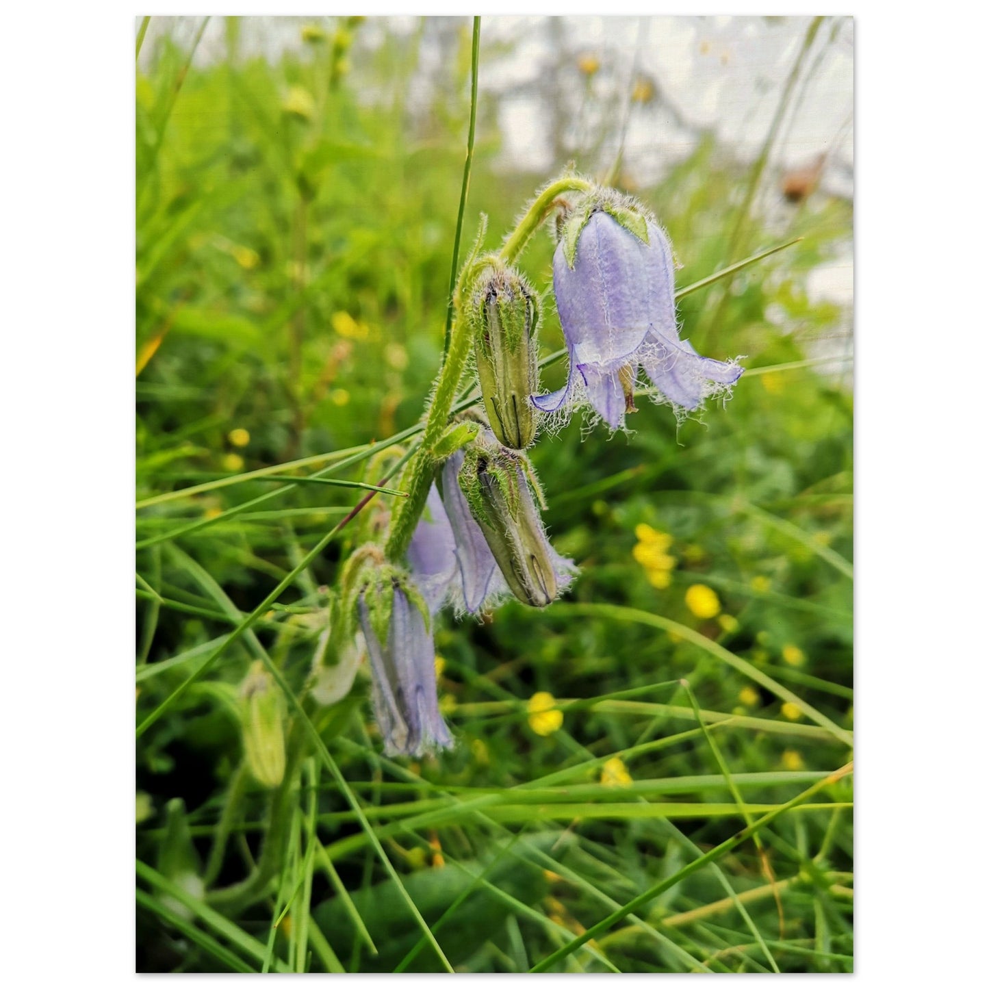 878020eb-eb44-4e09-bbd3-e3462b3bd09b