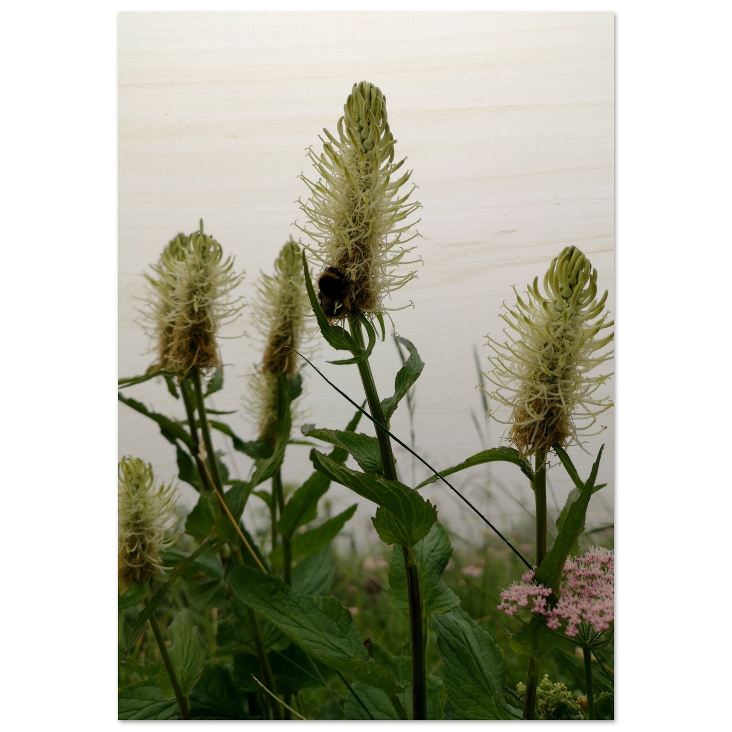 88b4d171-c617-42fa-86fe-16b9469c52ae