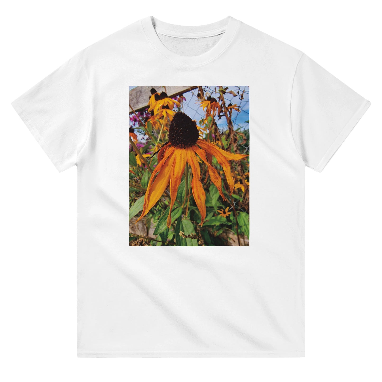 89ffa307-905d-4a6e-9166-1428c11033b8