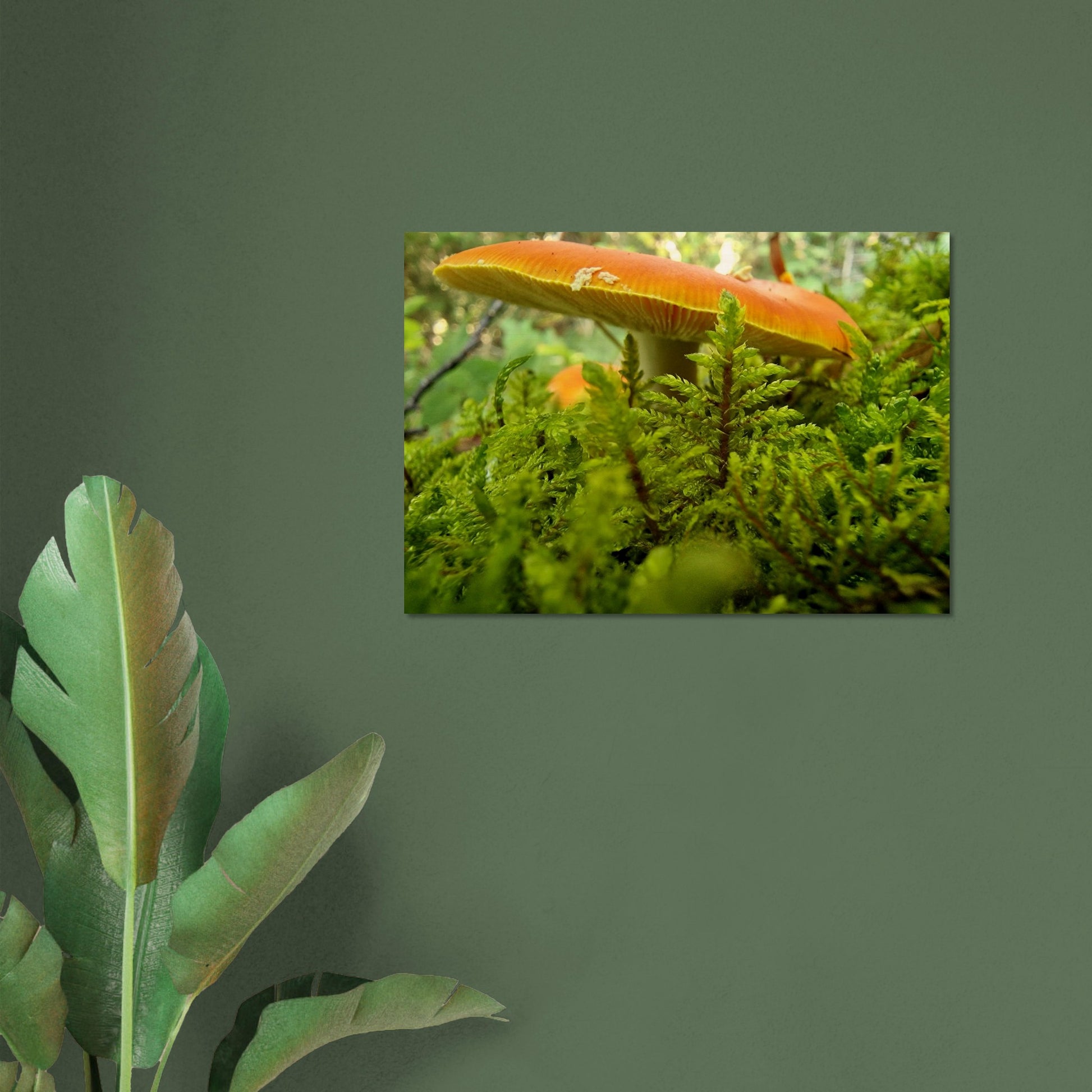 8a09a15d-0c6b-4fda-9434-f4dc380d4068