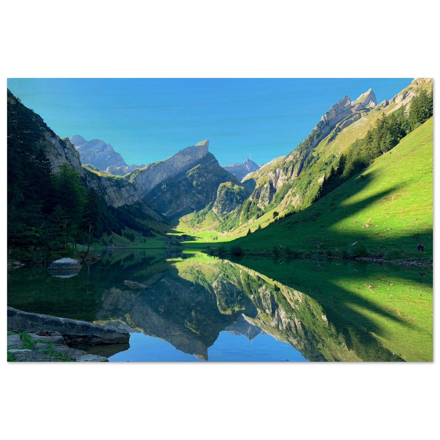 8a31115f-c63c-463f-8f5c-90b3c3d1f798