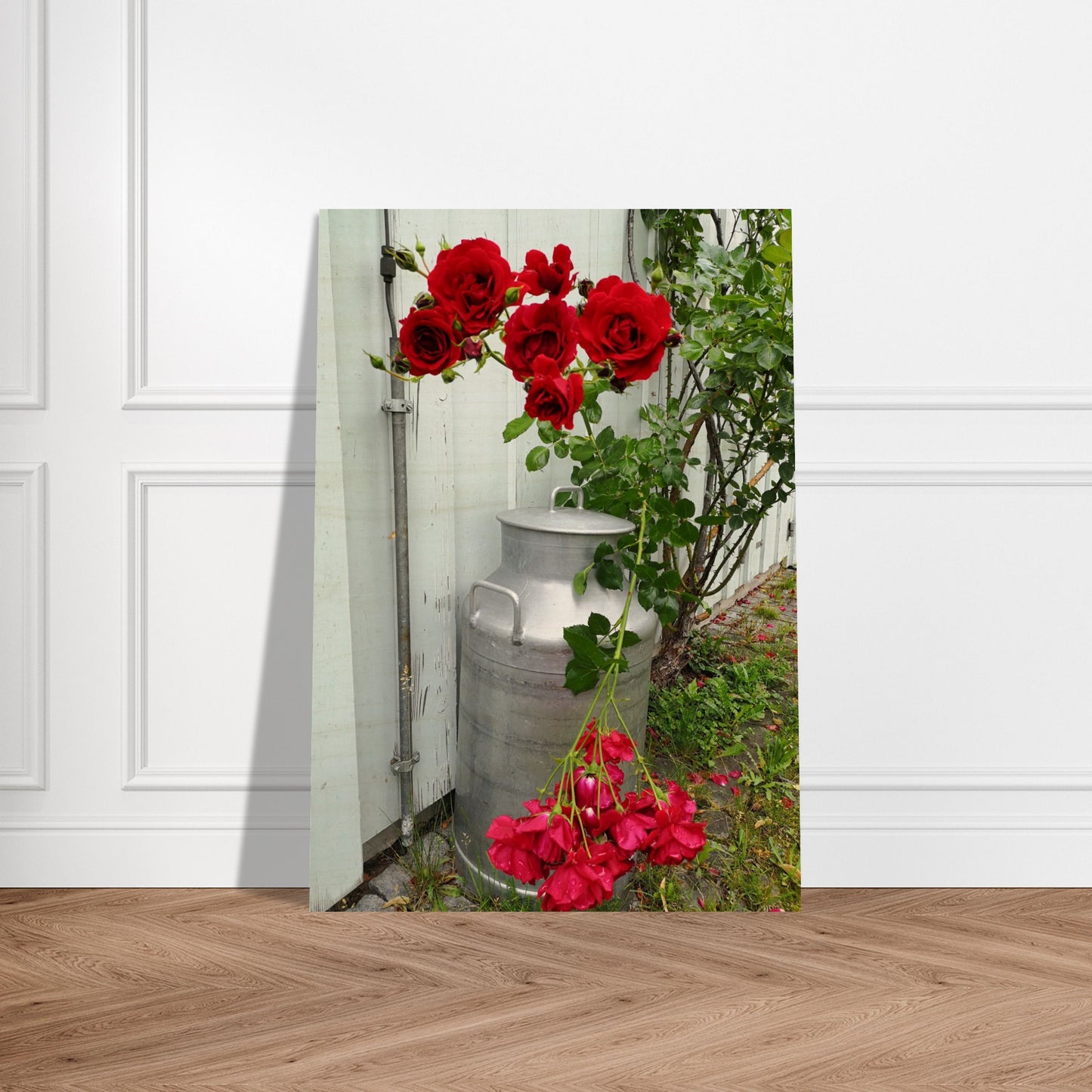 8ab95607-59aa-4261-9de4-a972d86e3dc2