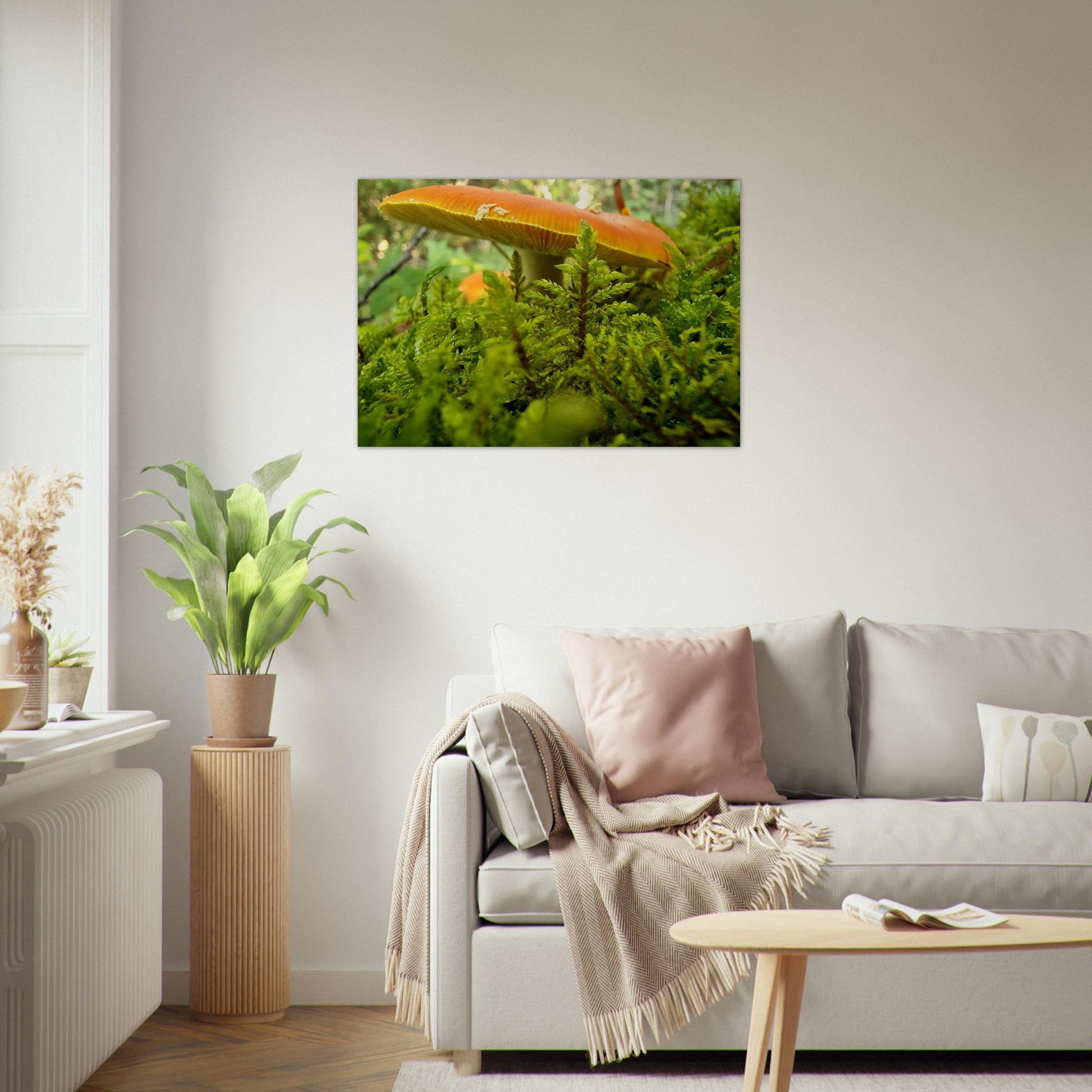 8c496a98-0385-4212-9bc1-e195b522ed66