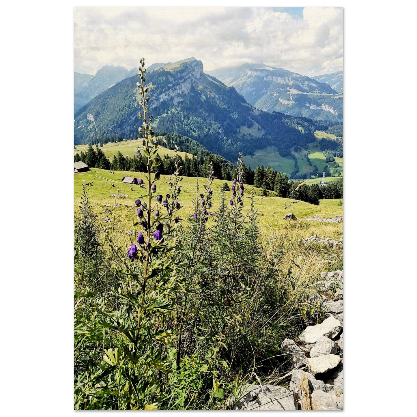 8dc5c522-8cd1-4de2-ba48-0b67e02b0b08